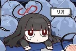 16265 B