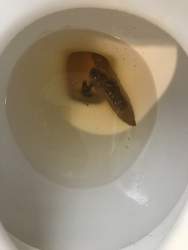 28190 B