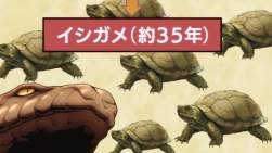 253442 B
