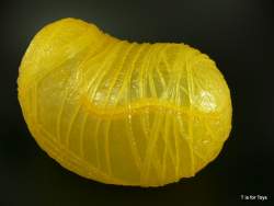 202334 B