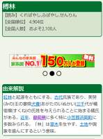 296269 B