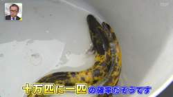 104811 B