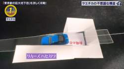 79466 B