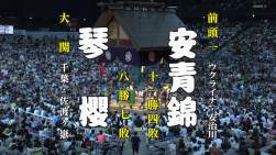 1381091 B