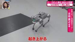 82342 B