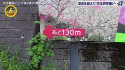 182686 B