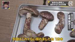 126555 B