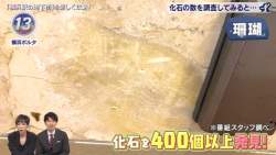 136384 B