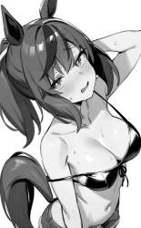 1073663 B