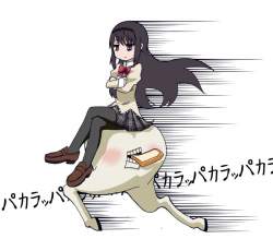68511 B