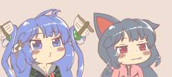 55534 B