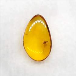 51215 B