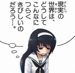 33537 B