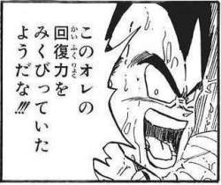 24047 B