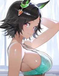79566 B