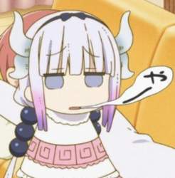 1007816 B