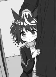80594 B