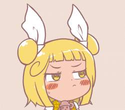 22434 B