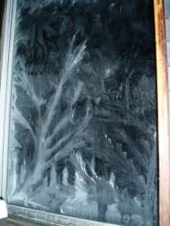 120098 B