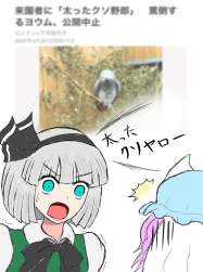 342592 B
