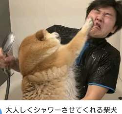 80396 B