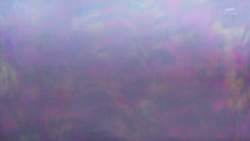 2645669 B