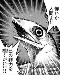 75141 B