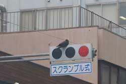 1532499 B