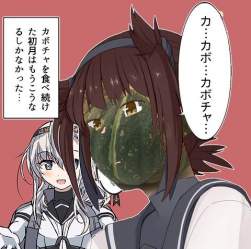 49567 B