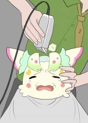 54658 B