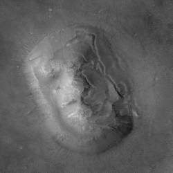 204978 B