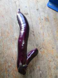 143931 B