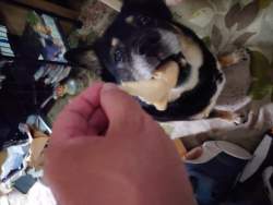 2027227 B