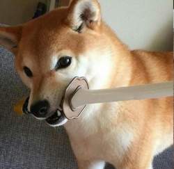 58784 B