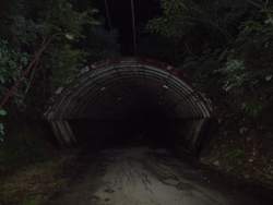383296 B