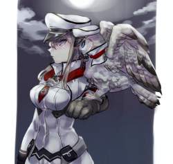 85431 B