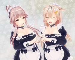 955813 B