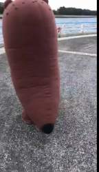 1080436 B