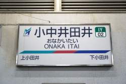 72951 B