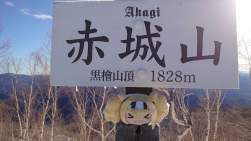 489835 B