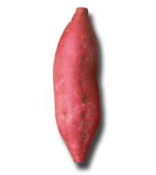 5667 B