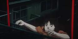 202991 B