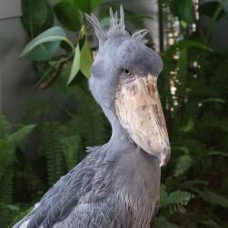 620607 B