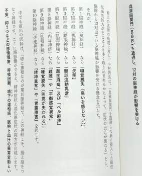 235681 B