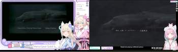 532654 B