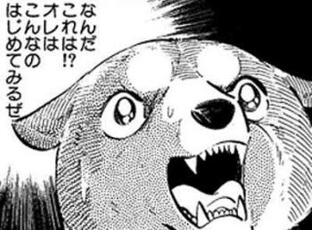 47443 B