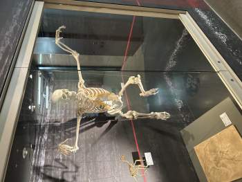 1109763 B