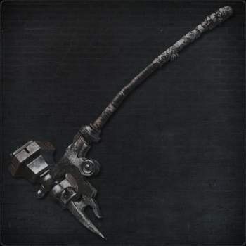 239555 B