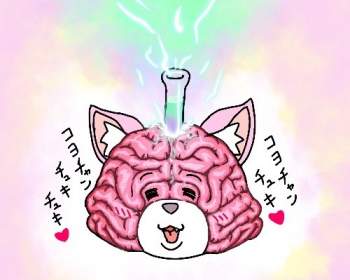 46298 B