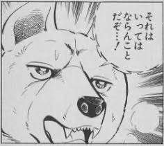 11673 B